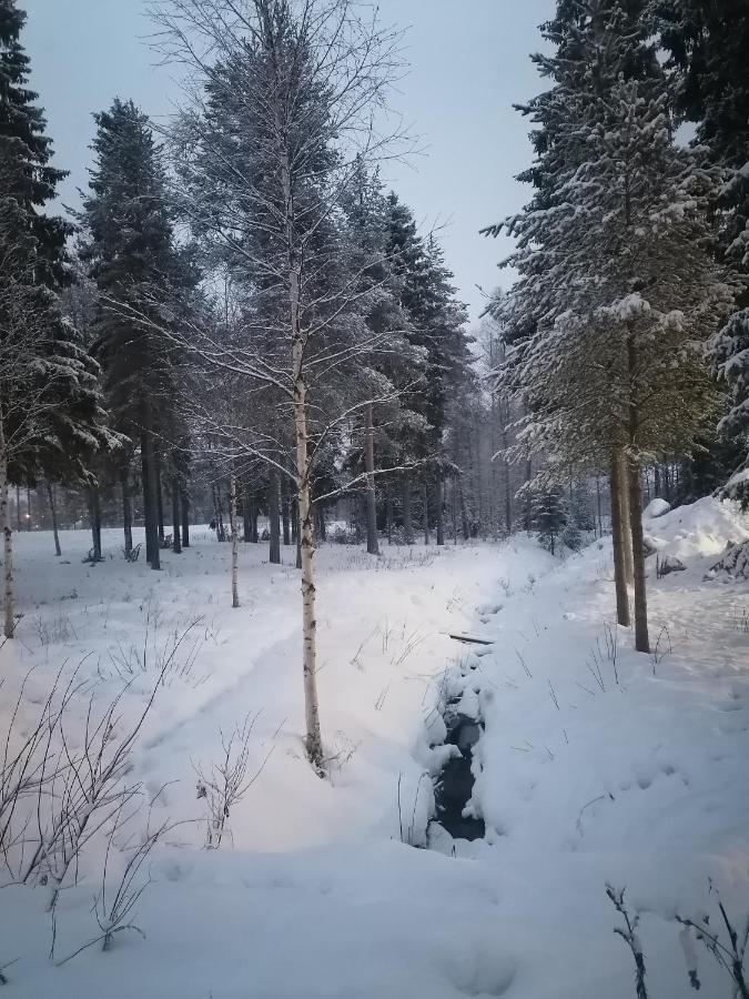 Hostel Tikka Rovaniemi Eksteriør billede